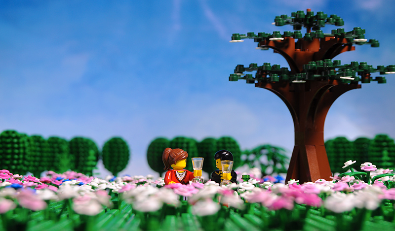 http://www.maximemarion.com/wp-content/uploads/2014/04/PL-06_001_16_X1_0103.jpg